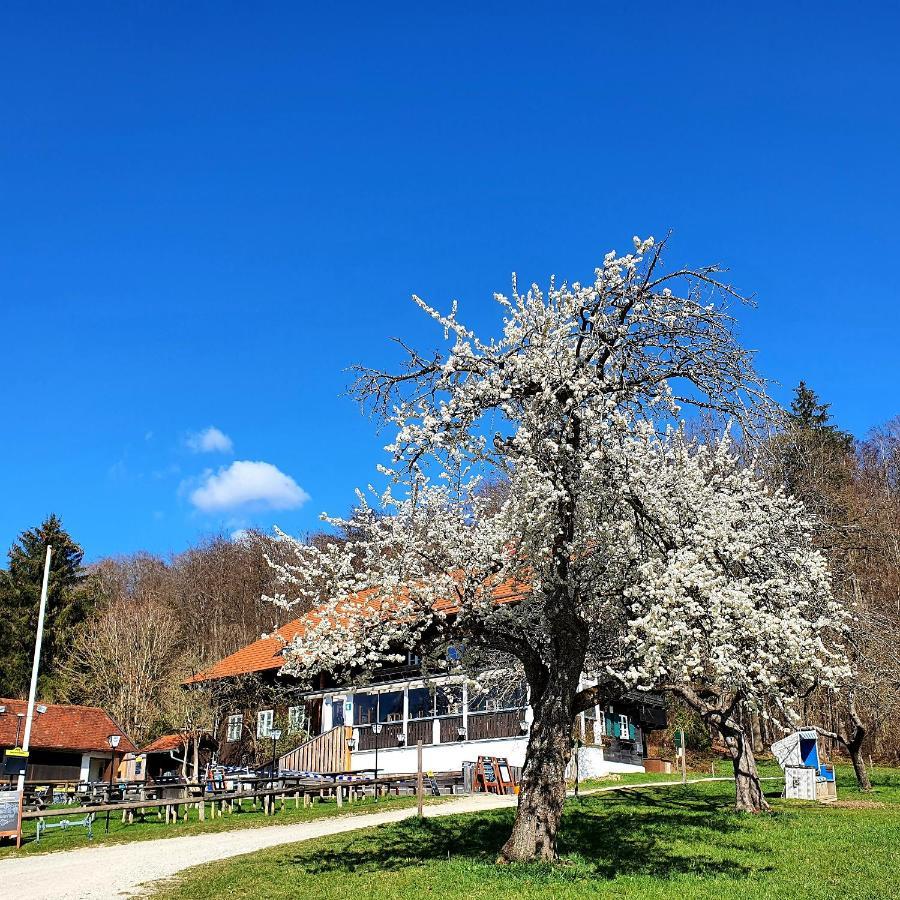 Schatzbergalm Pension Dießen am Ammersee エクステリア 写真